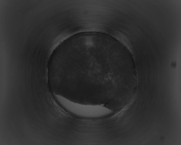 X0000091880781200710031120