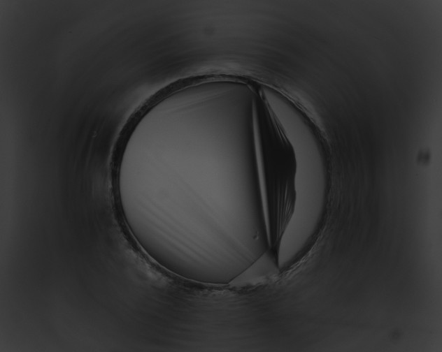 X0000091880784200710031120