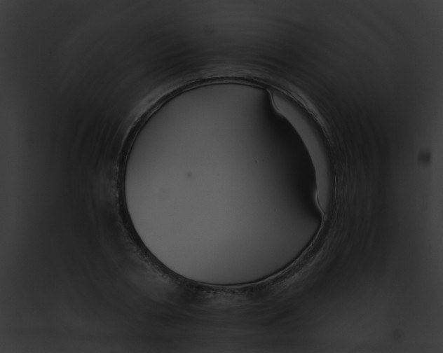 X0000091880786200710031120