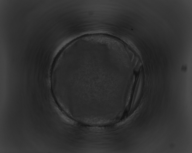 X0000091880789200710031120