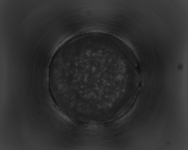 X0000091880790200710031120