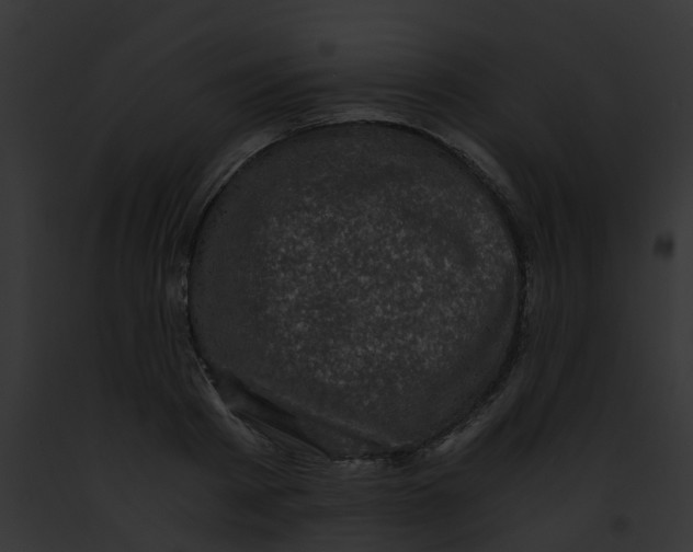 X0000091880793200710031120