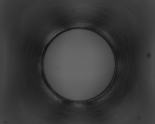 X0000091880794200710031120