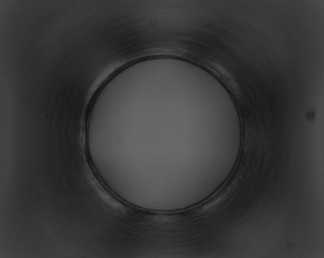 X0000091880796200710031120