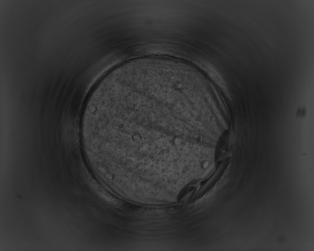 X0000091880798200710031120