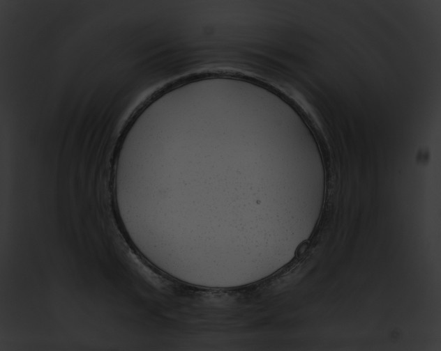 X0000091880799200710031120