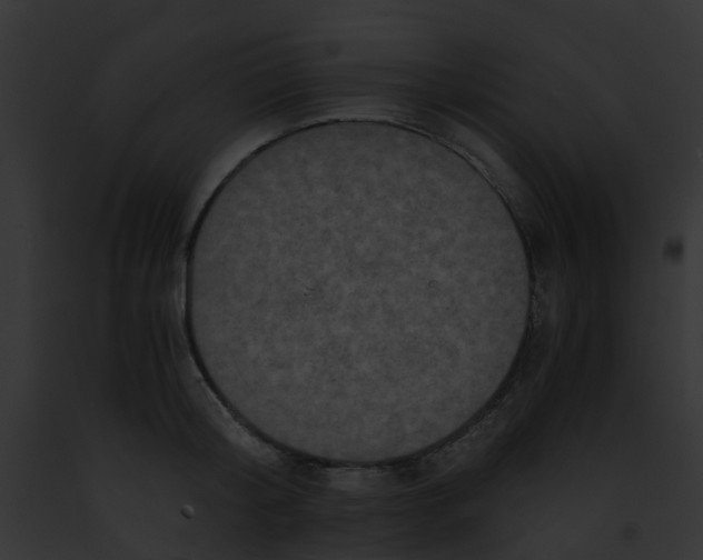 X0000091880804200710031120