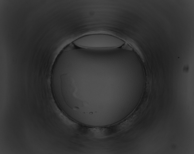 X0000091880805200710031120