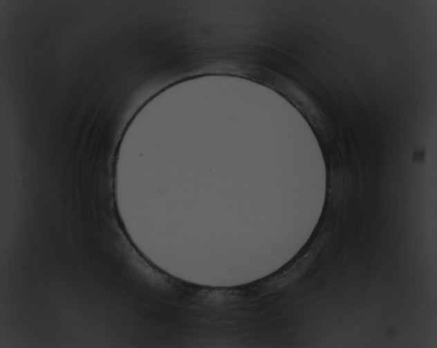 X0000091880808200710031120