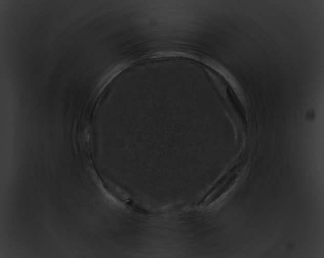 X0000091880809200710031120