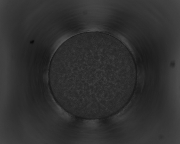 X0000091880810200710031120