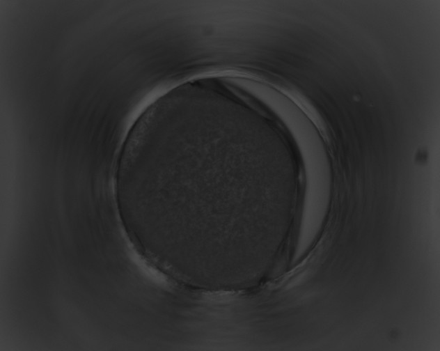 X0000091880813200710031120