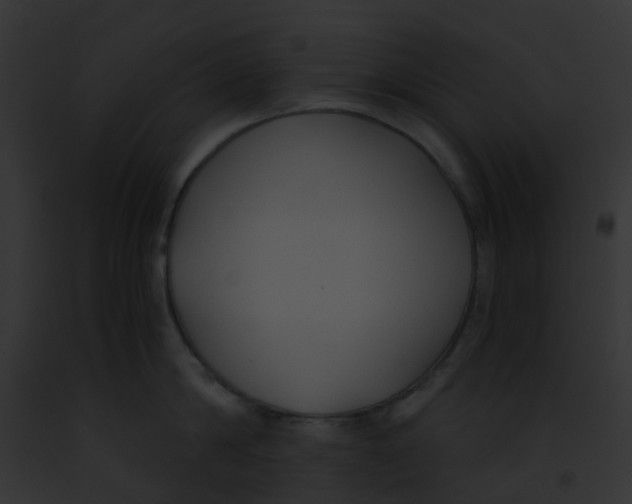 X0000091880814200710031120