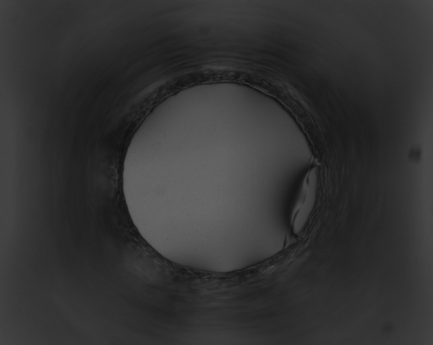 X0000091880821200710031119