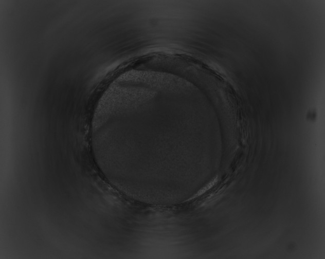 X0000091880822200710031119