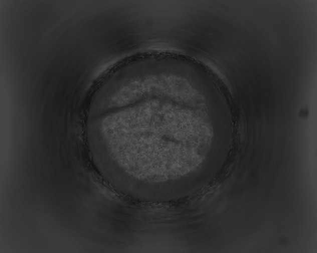 X0000091880823200710031119