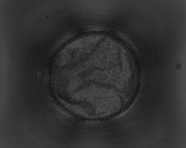 X0000091880825200710031119