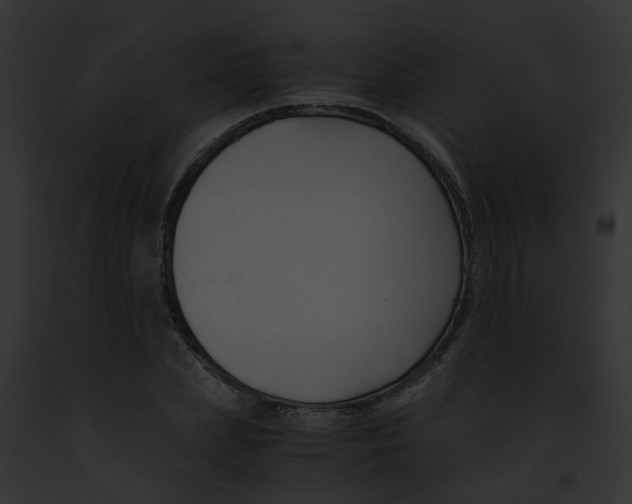 X0000091880831200710031119