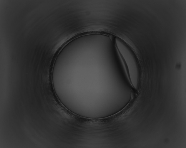 X0000091880834200710031119