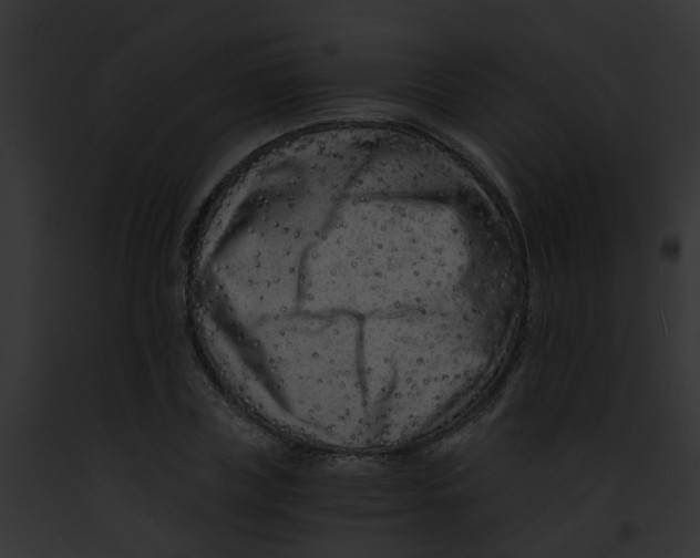 X0000091880835200710031119