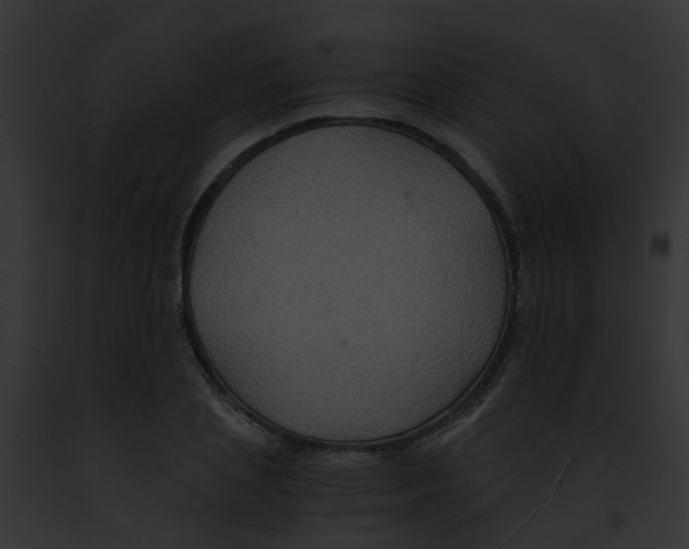 X0000091880837200710031119