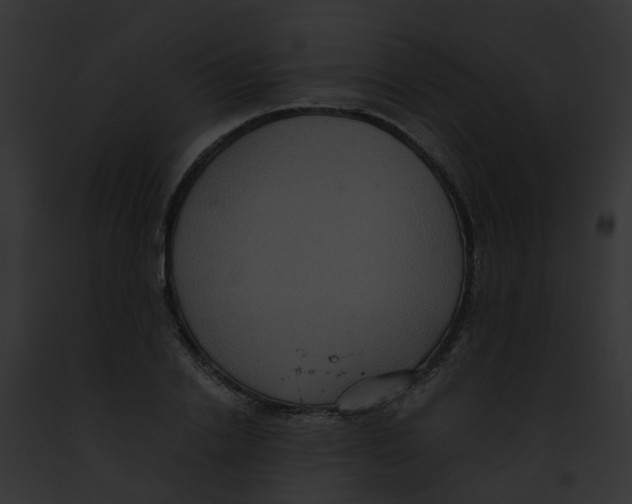 X0000091880838200710031119