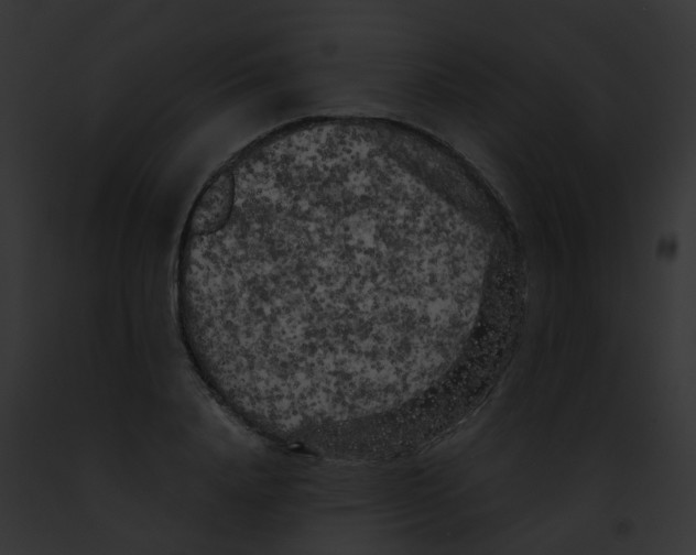 X0000091880840200710031119