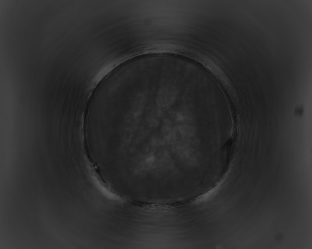 X0000091880842200710031119