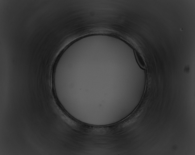 X0000091880843200710031119