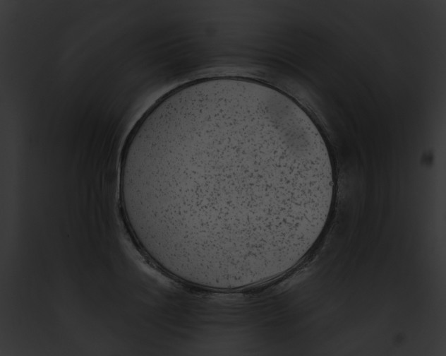 X0000091880844200710031119