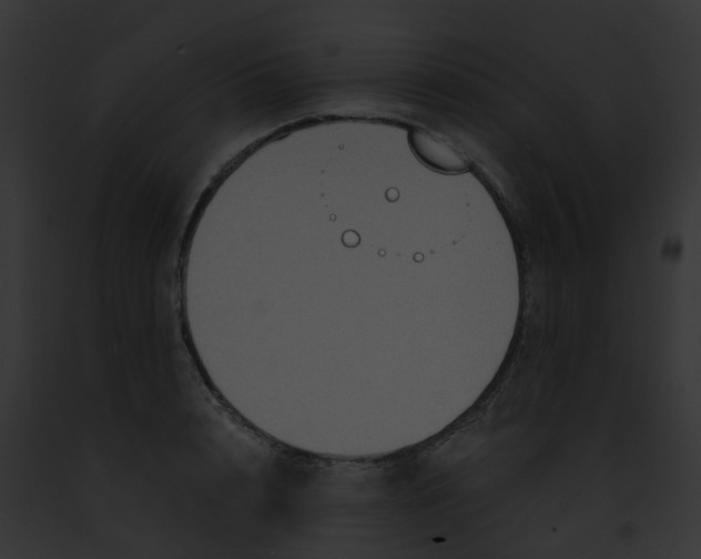 X0000091880848200710031119