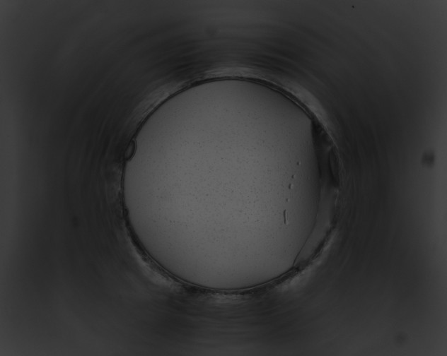 X0000091880849200710031119