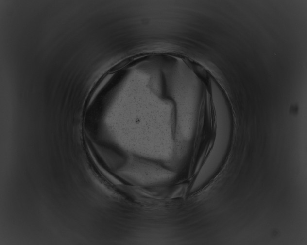 X0000091880850200710031119