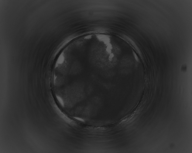 X0000091880851200710031119