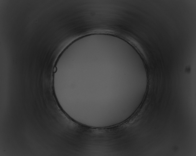 X0000091880852200710031119