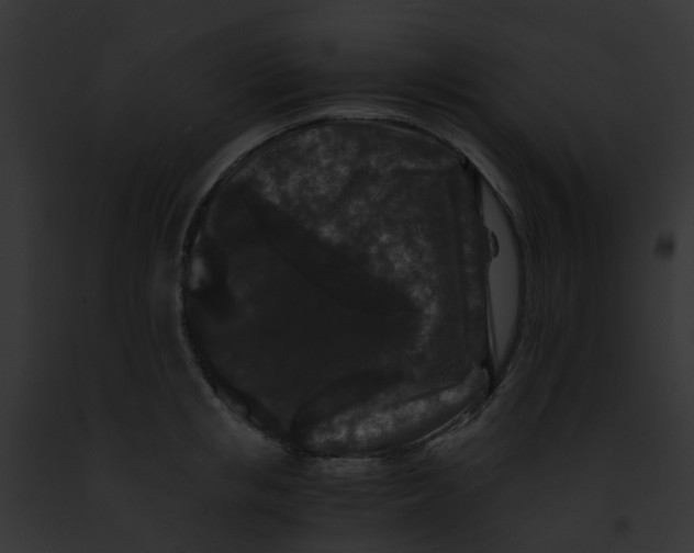 X0000091880853200710031119