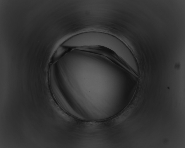 X0000091880854200710031119