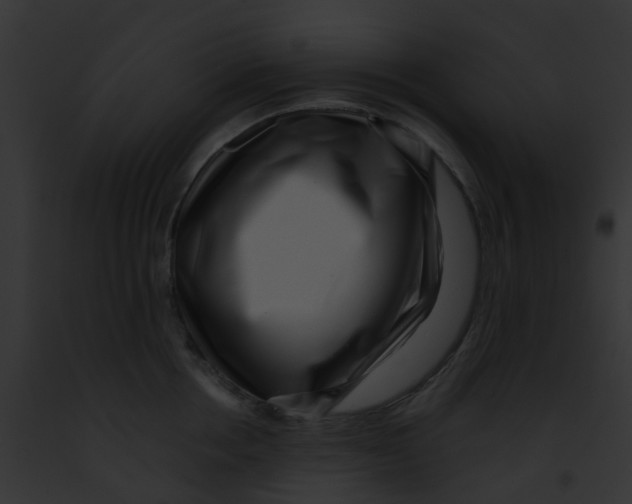 X0000091880858200710031119