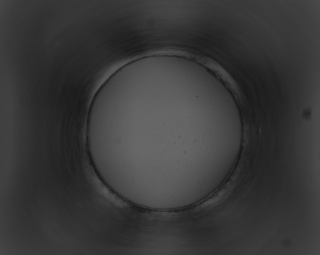 X0000091880860200710031120