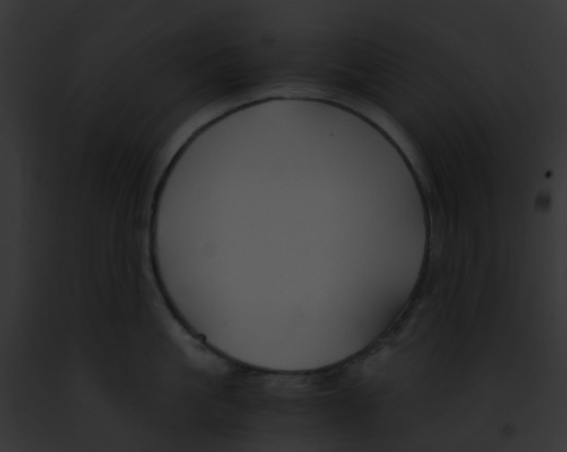 X0000091880861200710031120