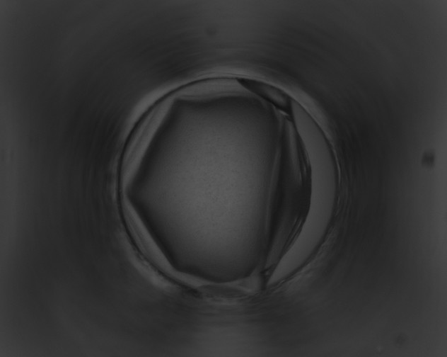 X0000091880862200710031120