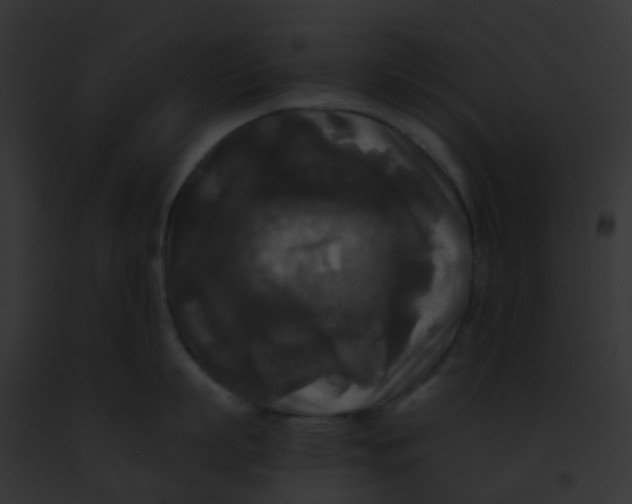 X0000091880863200710031120