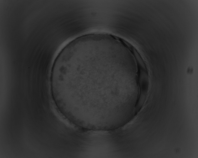 X0000091880864200710031120