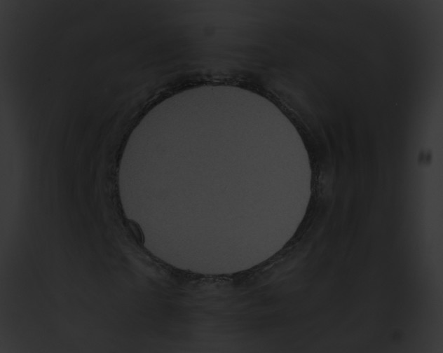 X0000091880865200710031119