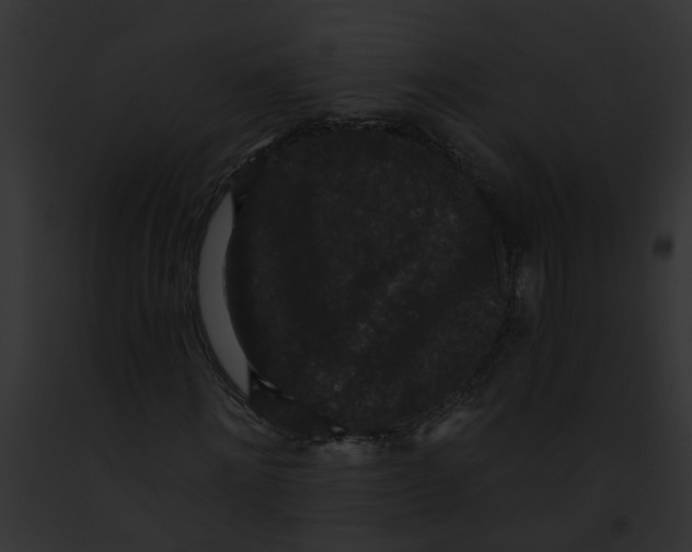 X0000091880868200710031119