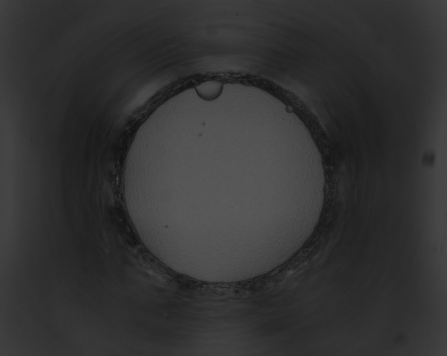 X0000091880871200710031119