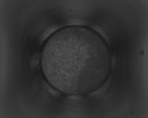 X0000091880874200710031119