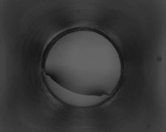 X0000091880880200710031119