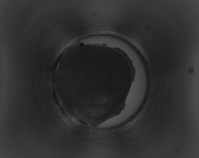 X0000091880881200710031119