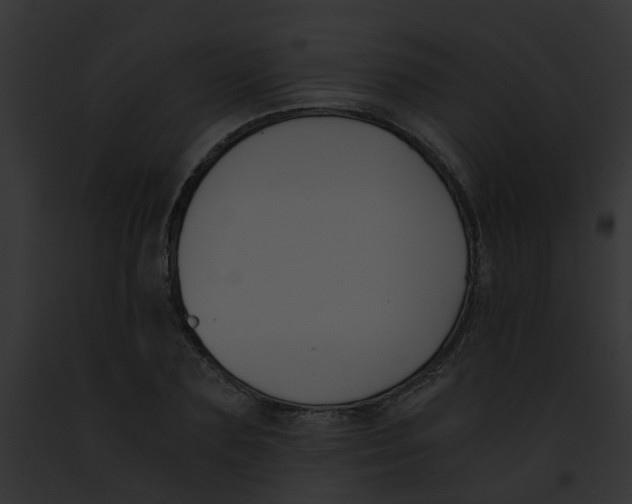 X0000091880883200710031119